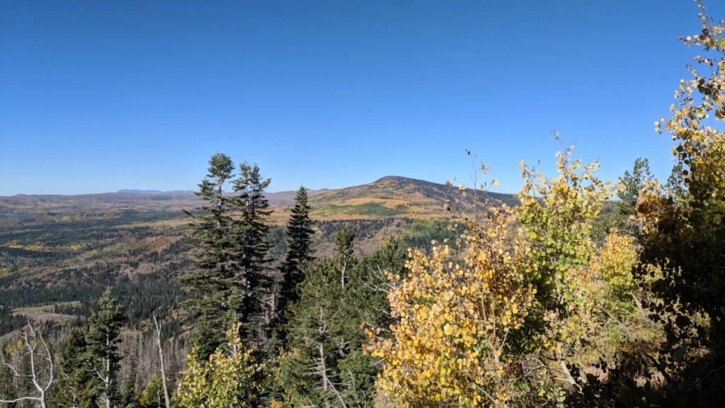 On Cedar Mountain in the fall with the aspen in yellow. Photo by Jeff Garrison 