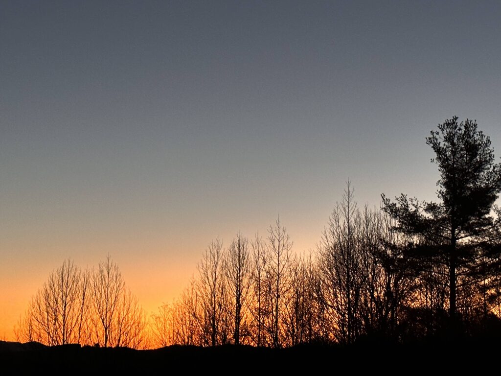 a predawn view looking east with the sky red and the trees still bare in winter