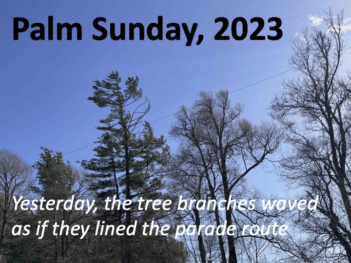 title slide, photo of trees blowing in wind