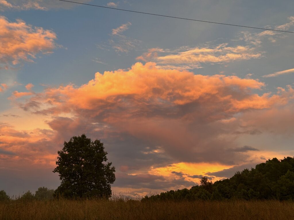 looking east at sunset with hickory tree I foreground and painted clouds at sunset following a storm
