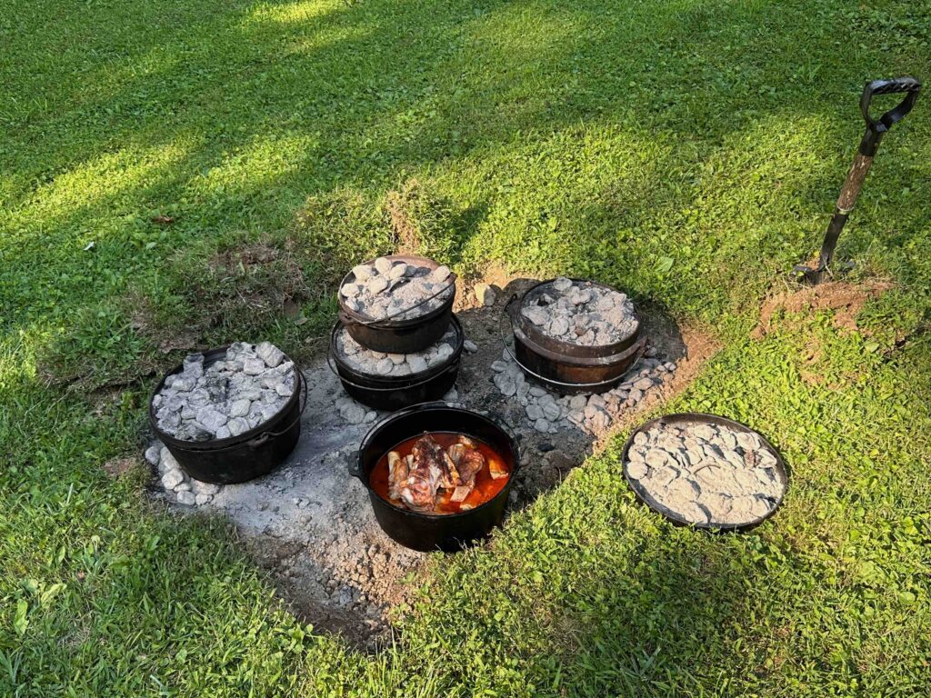 Hastings Home Pots 3-Quart Cast Iron Dutch Oven in the Cooking