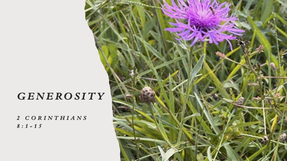 Title slide for sermon with photo of Brown Knapweed