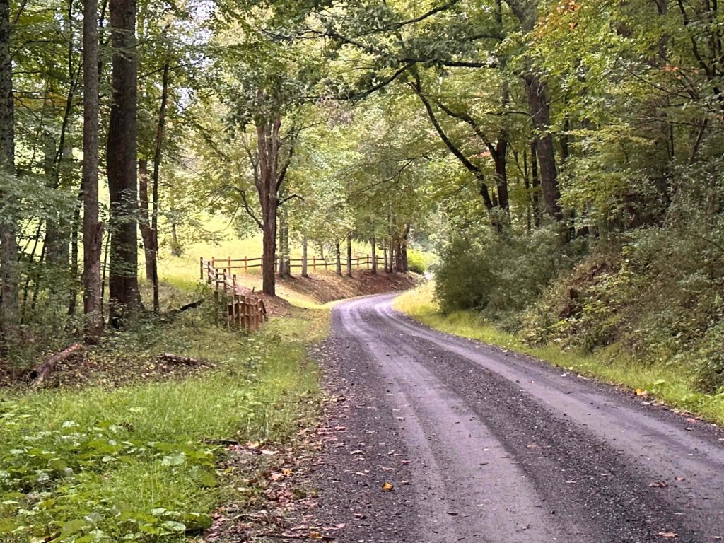 gravel road in late afternoon after a rain 