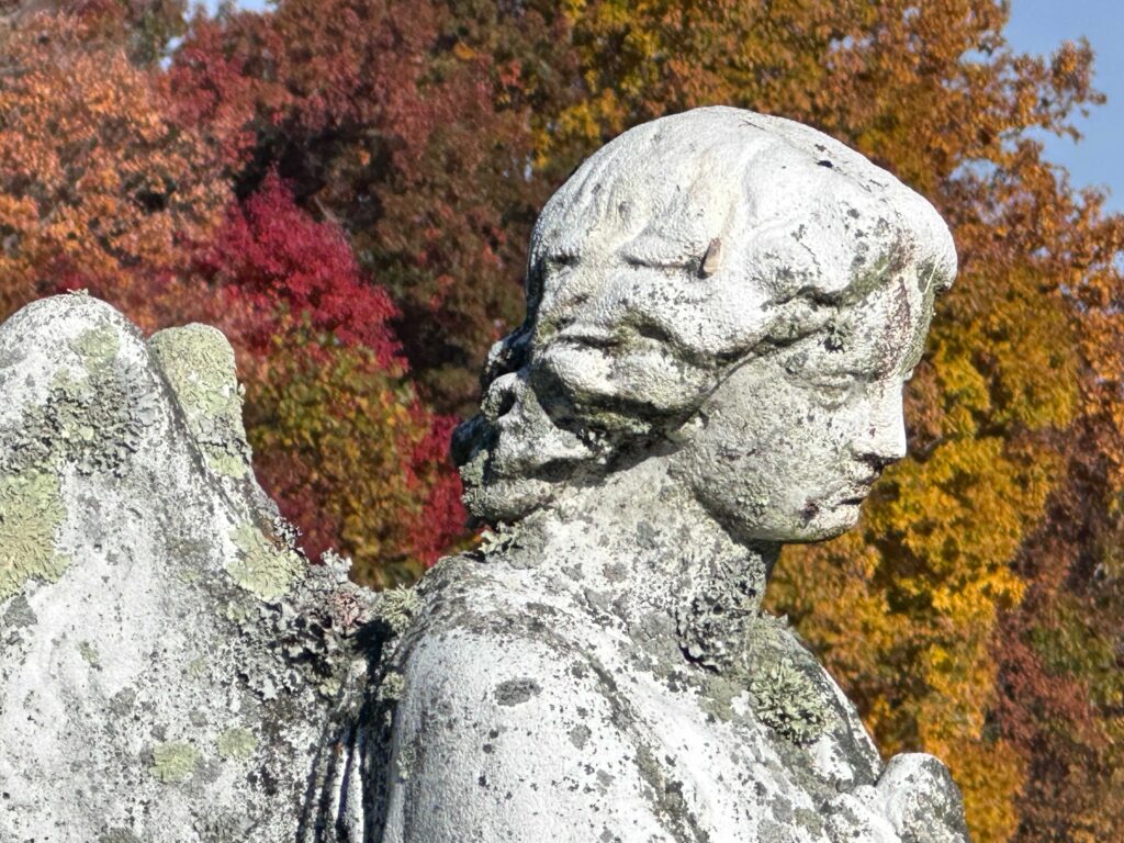 Angel statue in cemetery with fall colored leaves in background 