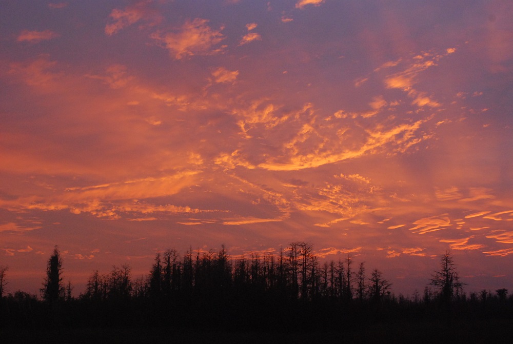 After sunset photo, Okefenokee National Wildlife Refuge, 2015