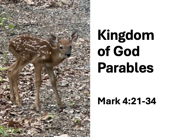 title slide with photo of a fawn