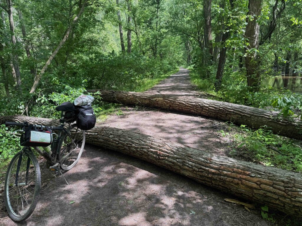 down trees across path