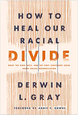 book cover for How to Heal our Racial Divide