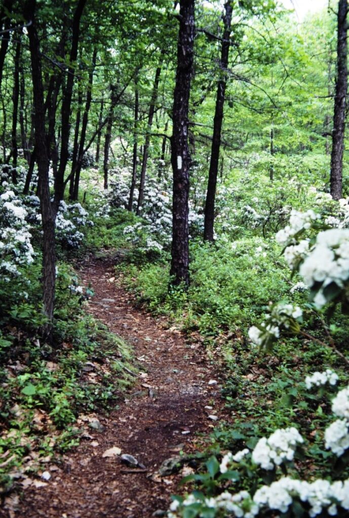 Appalachian Trail in Pennsylvania