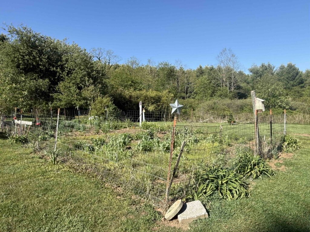 George's garden