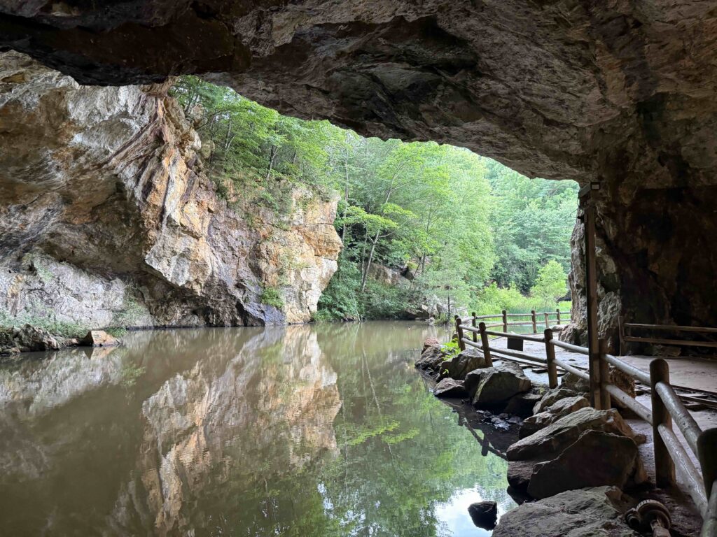 inside the mine looking out