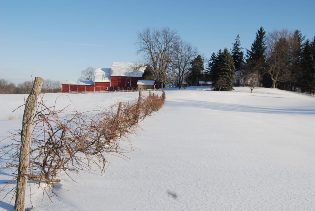 Howard Ferris' farm, 2008
