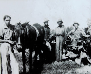 in a tobacco field 